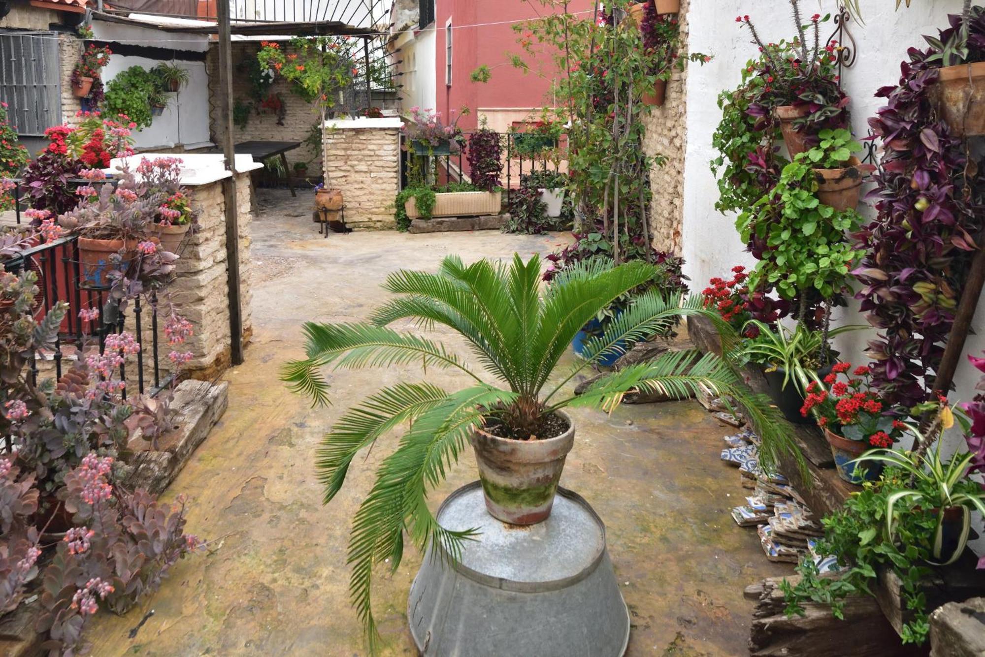 Casa Tenorio Barrio De Santa Cruz Sevilla Kültér fotó