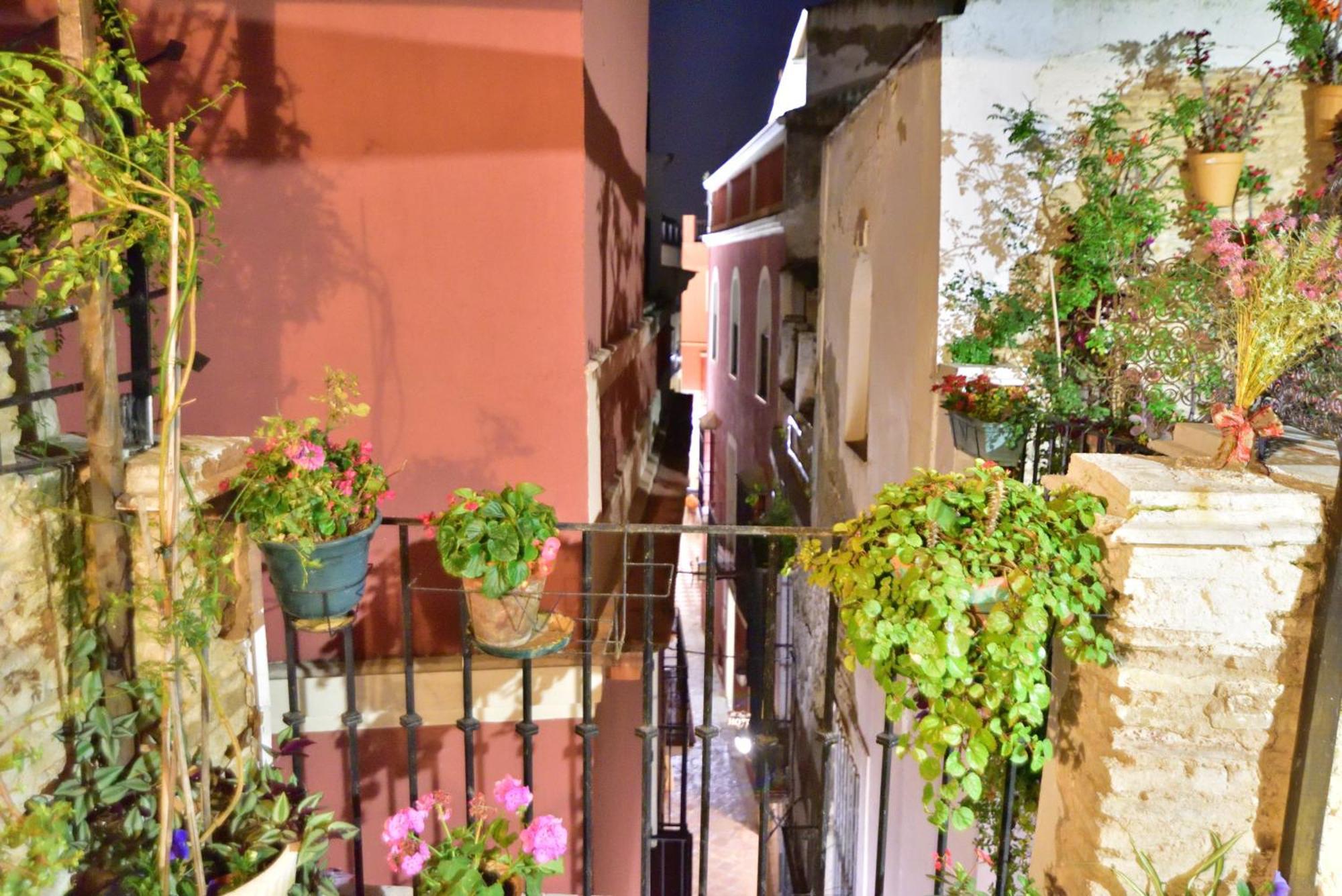 Casa Tenorio Barrio De Santa Cruz Sevilla Kültér fotó
